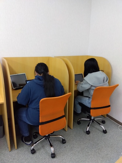 秋の清掃活動をしました