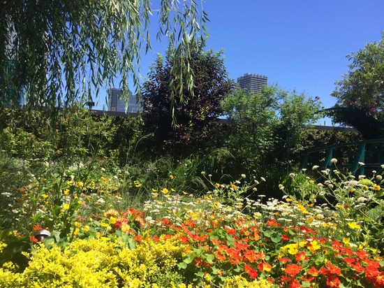 「中途半端なまま高校時代を終わらないために」　#水曜日のつぶやき vol.9