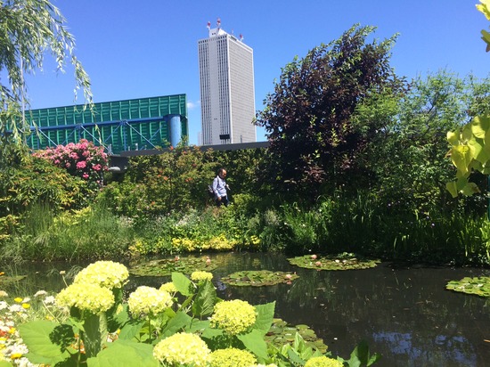 「頑張り続ける君へ、なぜか疲れたときには」　#金曜日のひとやすみ 　Vol.1