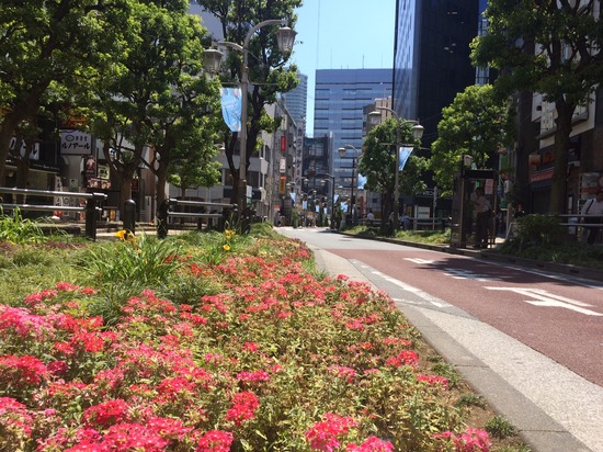 故人の命日に忍ぶ。