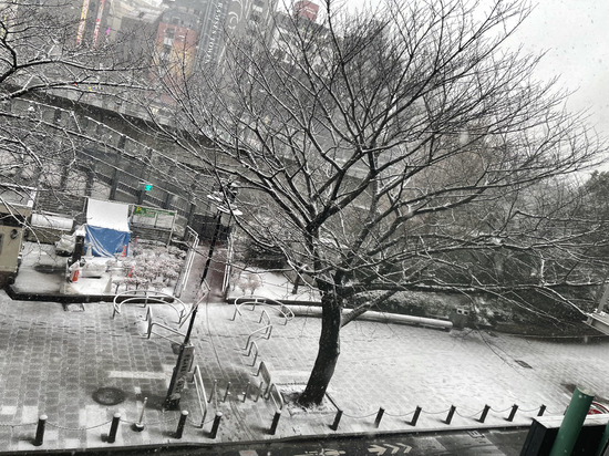 【大雪注意報】雪と凍結が弱点です