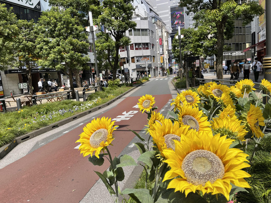 「理想と現実の差」を埋める力　#日曜日の決意 vol.10