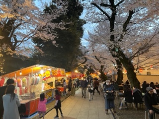 c 【通信制高校生の特権】(再掲323) 自分の役に立つ勉強は自分で決めていい／東京／原宿／池袋／渋谷／新宿／通信制高校／サポート校