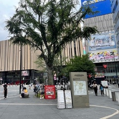 2025年度9月転入学「現役高校生対象」／2026年度4月新入学「中学３年生対象」