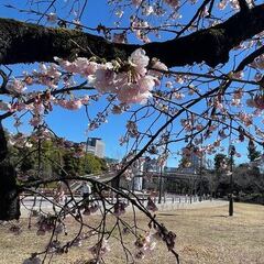 【国立大学】がんばれ２次受験生　　　　　　　　　　　　　　　シティーキャンパス