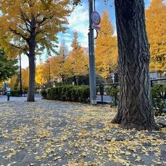 【教養】「性格力」性格は個人の能力になる④　～外向性～　　　　　　　　原宿表参道／池袋サンシャイン【20周年】