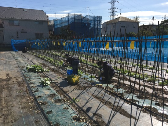 10月24日（月）は農業実習でした。