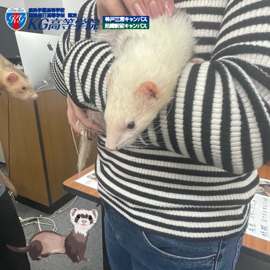 神戸動植物専門学校さんが出張授業へお越しいただきました