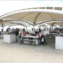 ☆BBQ大会のお知らせ☆