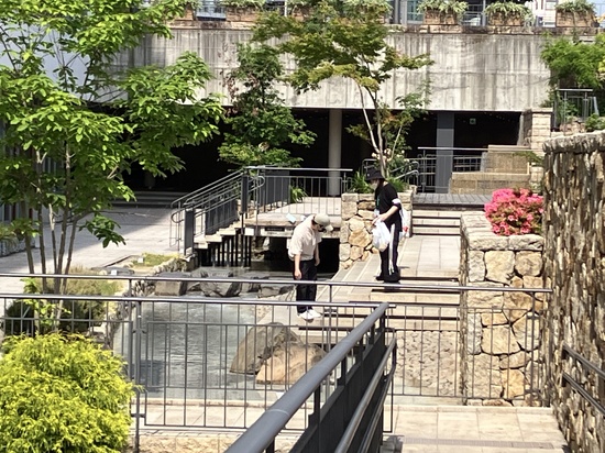 緑化ボランティア