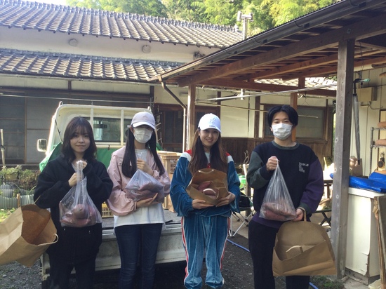 収穫のお手伝い