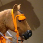 兵庫県立歴史博物館