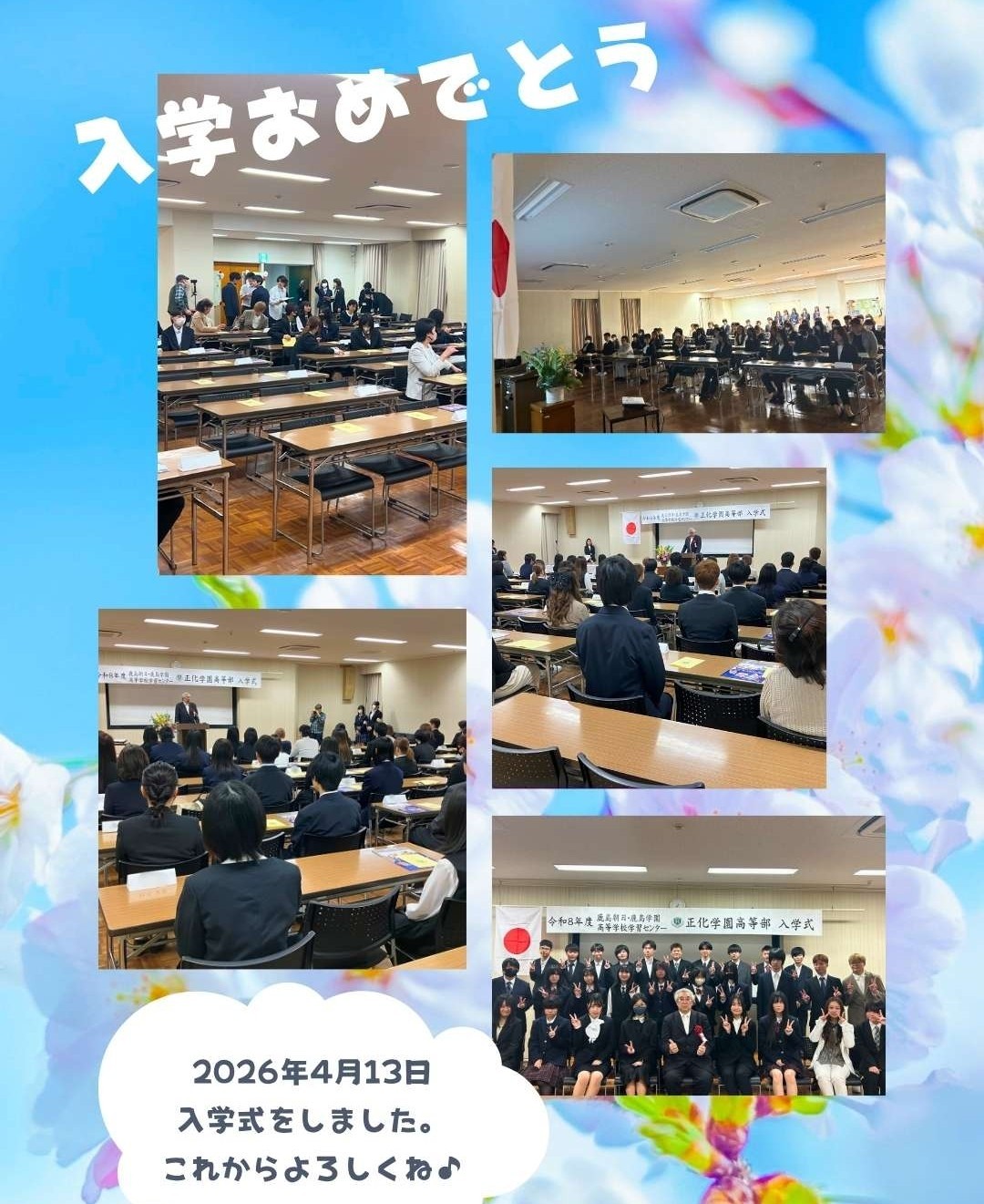 🌸新しい仲間を迎えました