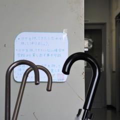 環境向上委員について