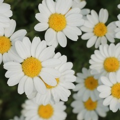 校外学習へ行ってきました。