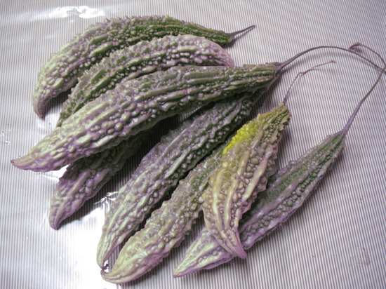 今年最後のゴーヤ