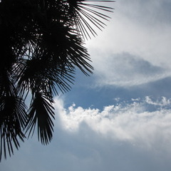 夏は、輝く空のように　　　　