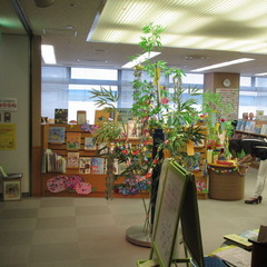 星に★　願い　を　★！