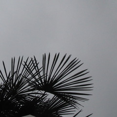 夏は？　　どうした？