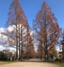 スクーリング＆テスト