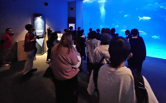 水族館遠足　～2024～