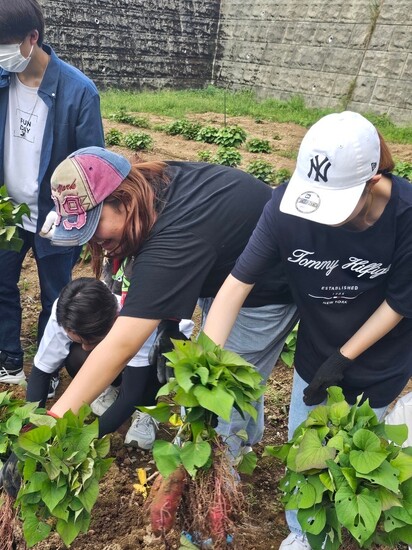待ちに待ったデイキャンプ！～芋掘り体験編～