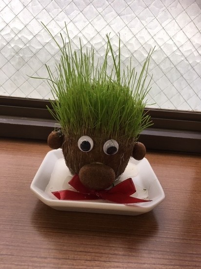 鹿児島も梅雨に入りました。