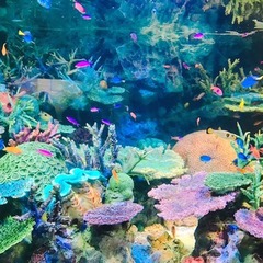サンシャイン水族館♪