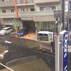 11月の雪！