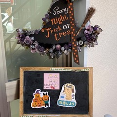 個別相談随時受付中‼