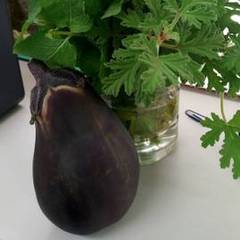 進路について考える夏休み