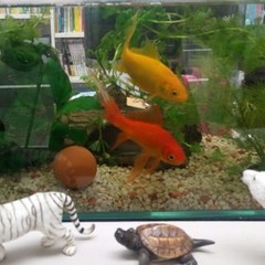 個別相談＆見学、いつでも受付中！