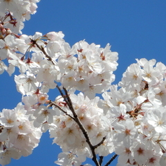 4月のキャンパスイベント