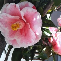 ４月入学、まだ間に合います！見学絶賛受付中！