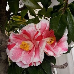 ４月入学、まだ間に合います！見学絶賛受付中！