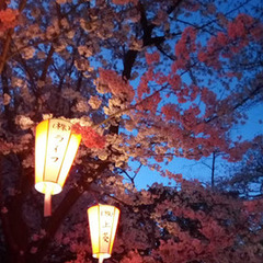 ４月のキャンパスイベント＆５月入学相談受付中！