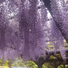 GW明けはキャンパスイベント満載！！