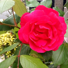 ５月のキャンパスイベント