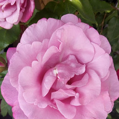 ５月２８日休校のお知らせ他＆７月入学受付中！