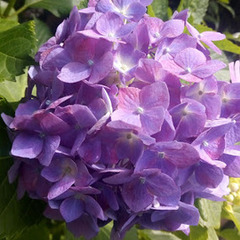 ７月入学・見学・ご相談絶賛受け付け中！！