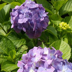 6月後半のキャンパスイベント