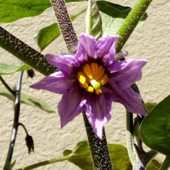 ７月入学ラストご案内！６月２５日願書必着です！