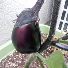 明日はレポート締め切り＆進路講演会