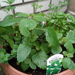 スクーリング会場下見ツアー