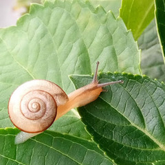 夏休み期間中も個別相談・見学はいつでも歓迎です！