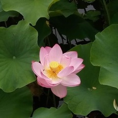 赤羽キャンパスはどんなところ？