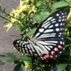 9月のキャンパススケジュール