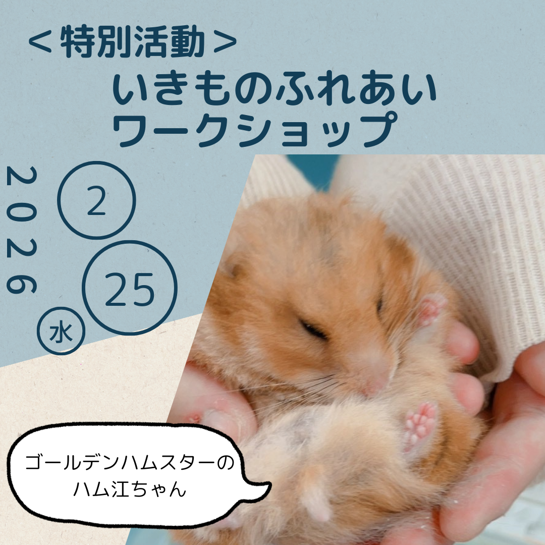 いきものふれあいワークショップ