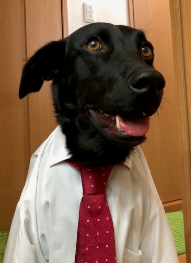 ？？渋谷クイズ【1/５】？？