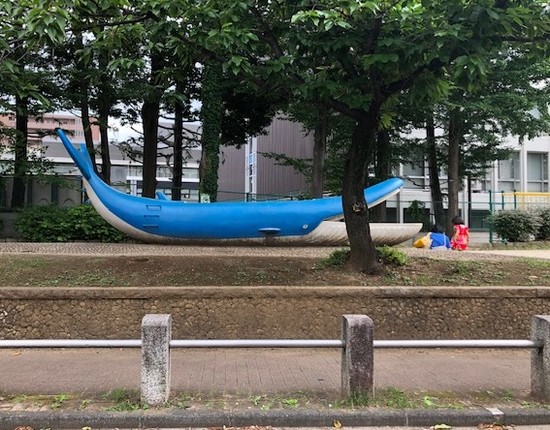 夏期スクーリングのためのガイダンス